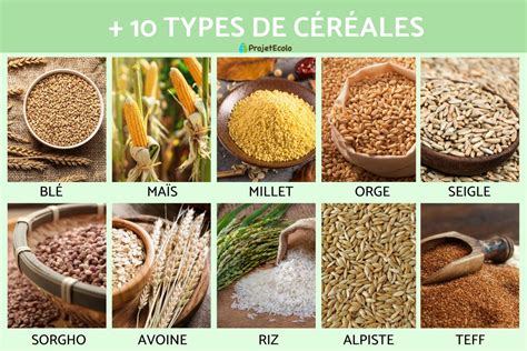 gratorama interdit en france|LES CÉRÉALES .